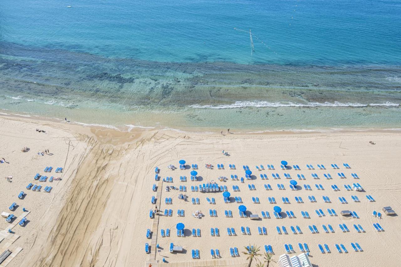 Veracruz 20 Benidorm Dış mekan fotoğraf